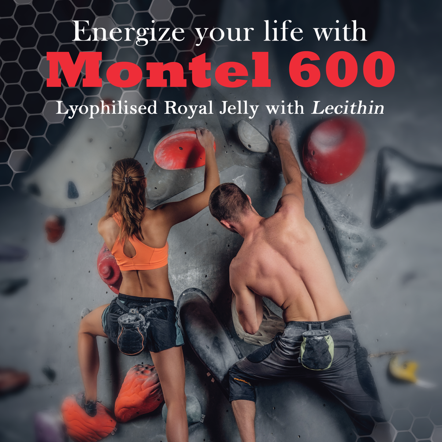 Montel 600